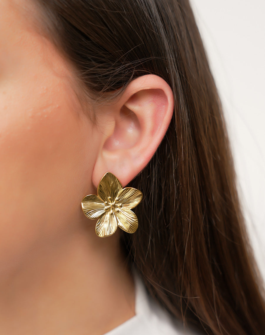Boucles d'oreilles Agordat