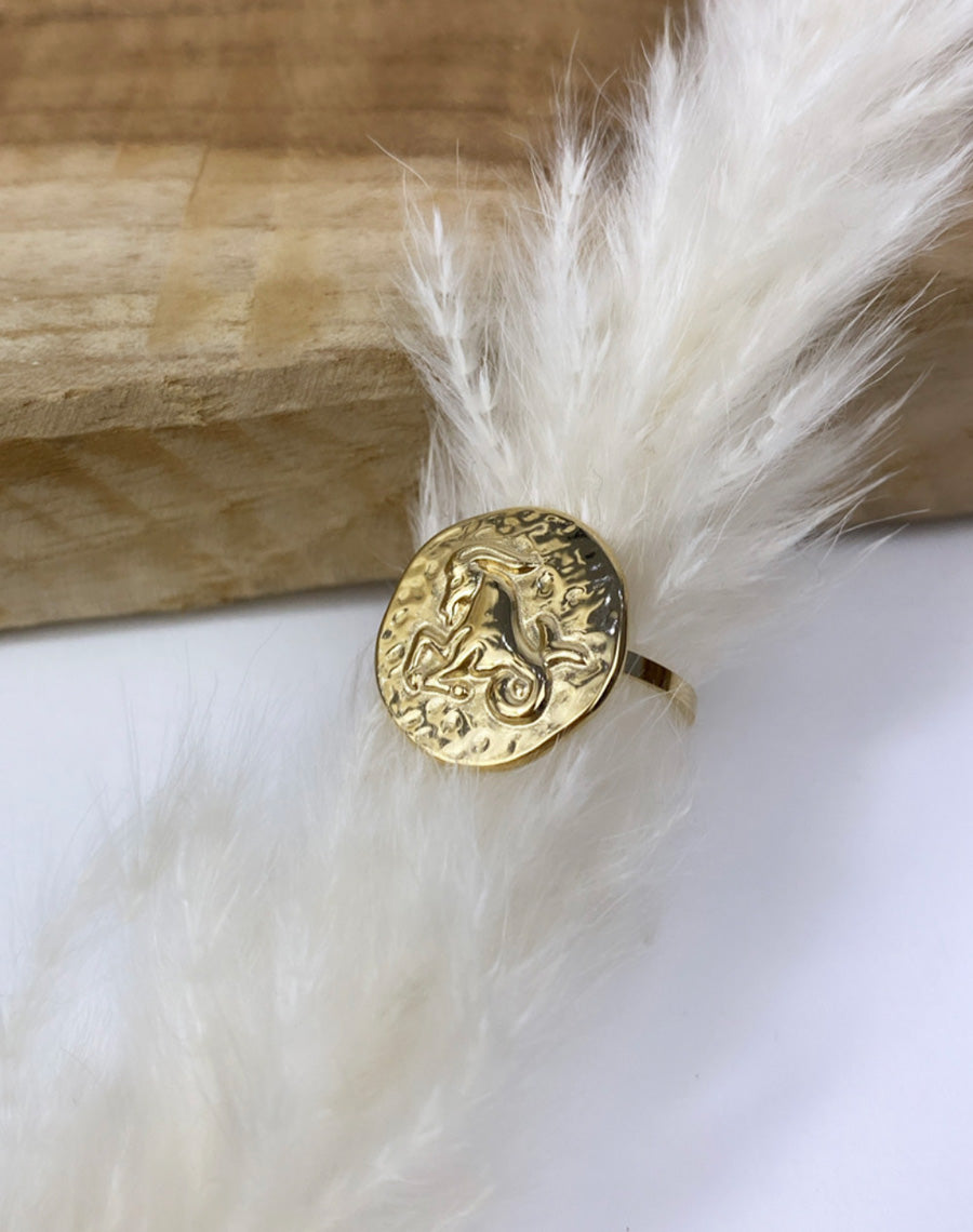 Bague Capricorne