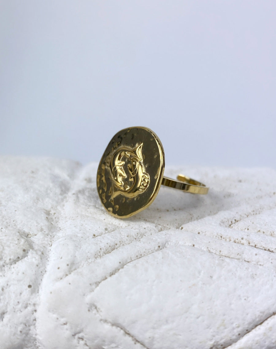 Bague Poisson