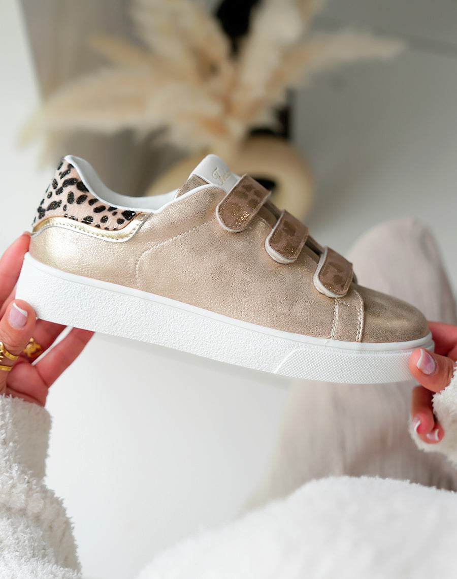 Baskets basses dorées à détails léopard et à scratch