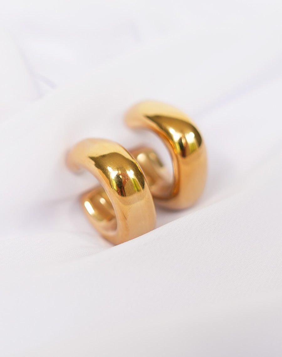 Boucles d?oreilles Palmira