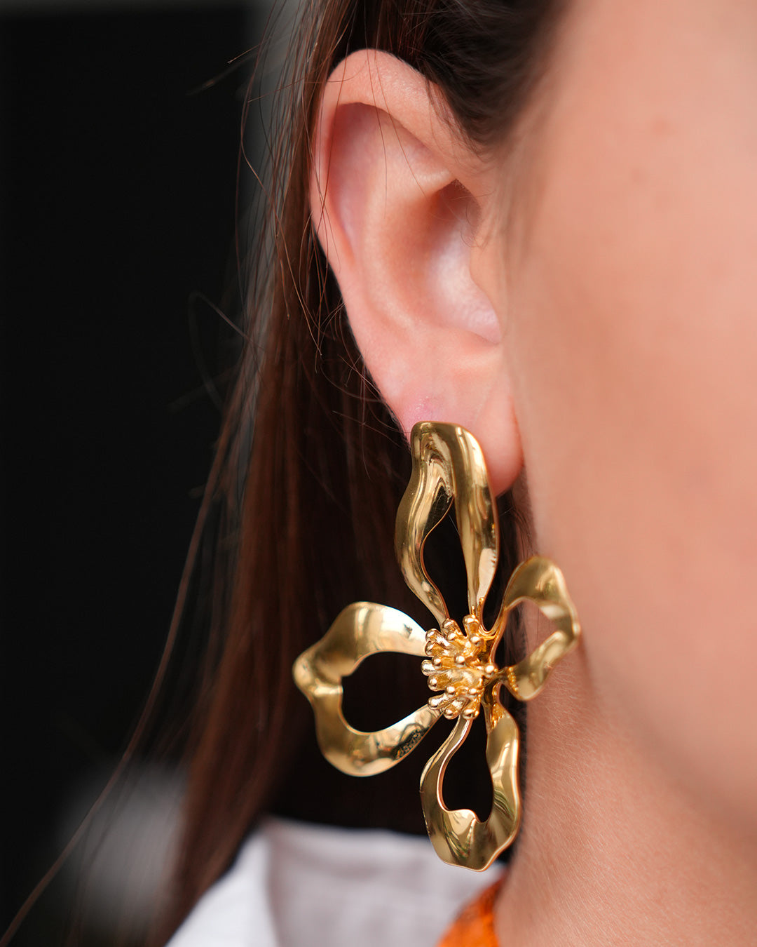 Boucles d’oreilles Domoni