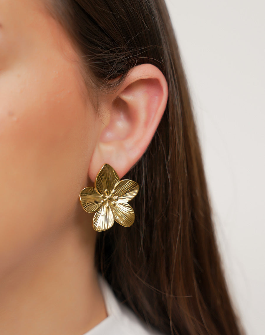 Boucles d'oreilles Agordat