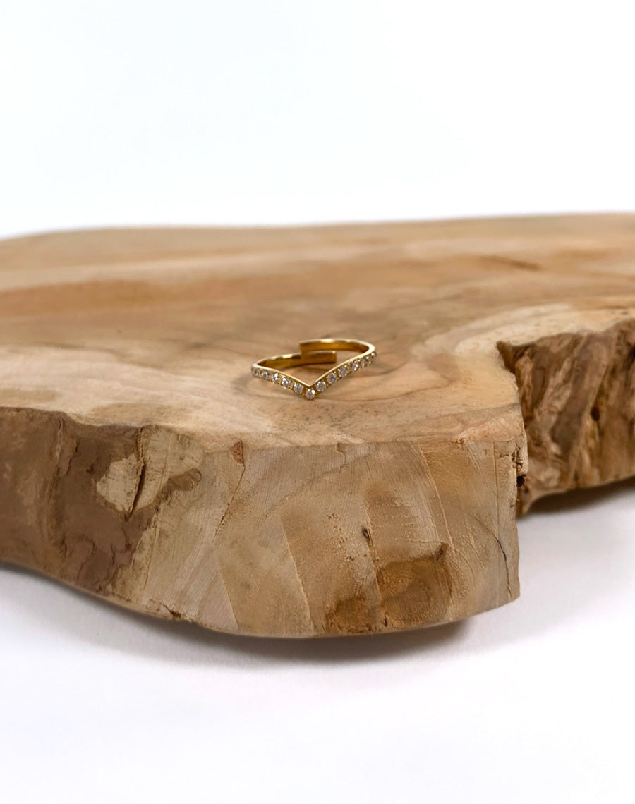 Bague Iowa